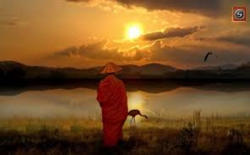 Hãy bước chậm lại